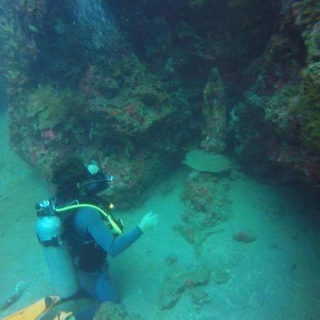 Anilao Scuba Dive Center Hotell Batangas Eksteriør bilde