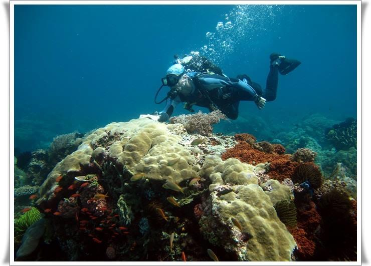 Anilao Scuba Dive Center Hotell Batangas Eksteriør bilde