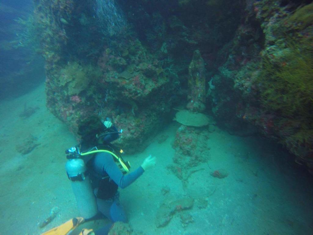 Anilao Scuba Dive Center Hotell Batangas Eksteriør bilde