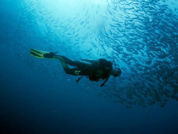 Anilao Scuba Dive Center Hotell Batangas Eksteriør bilde